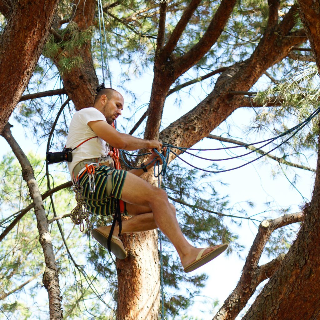 I climbed a tree for this gear shot!